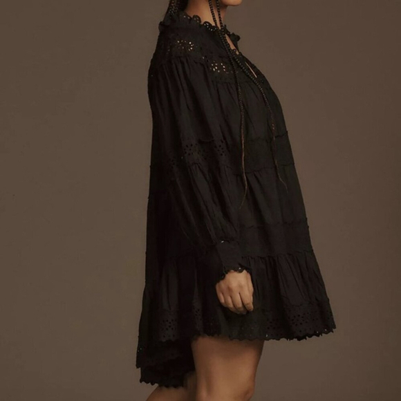 Anthropologie Maeve Eyelet Long-Sleeve Lace Mini Dress - Picture 4 of 10